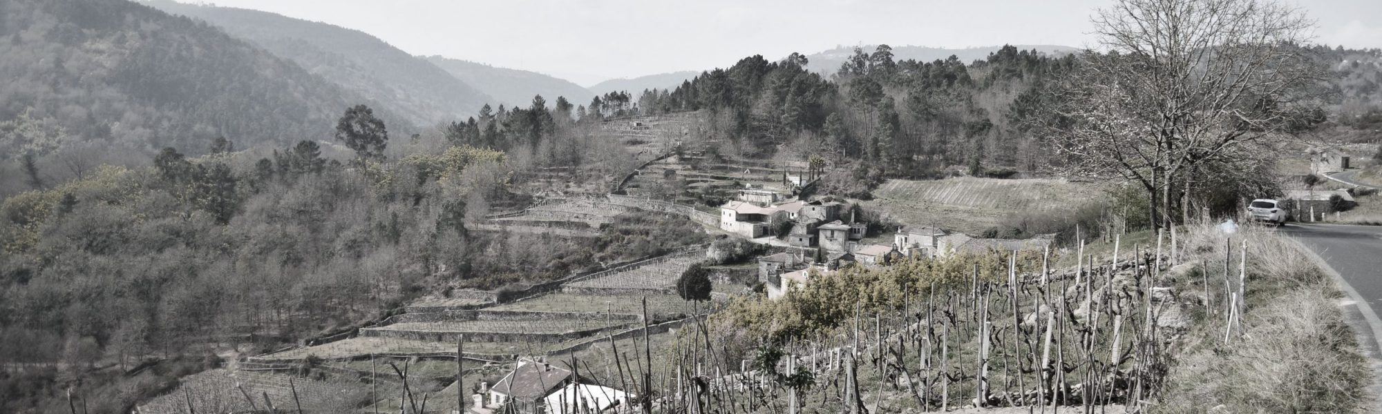 02_DSC_0707-e1573392030765-ogijun0y3h8l19p5l0nxybkmnpg4io6bbf0bnplt2o